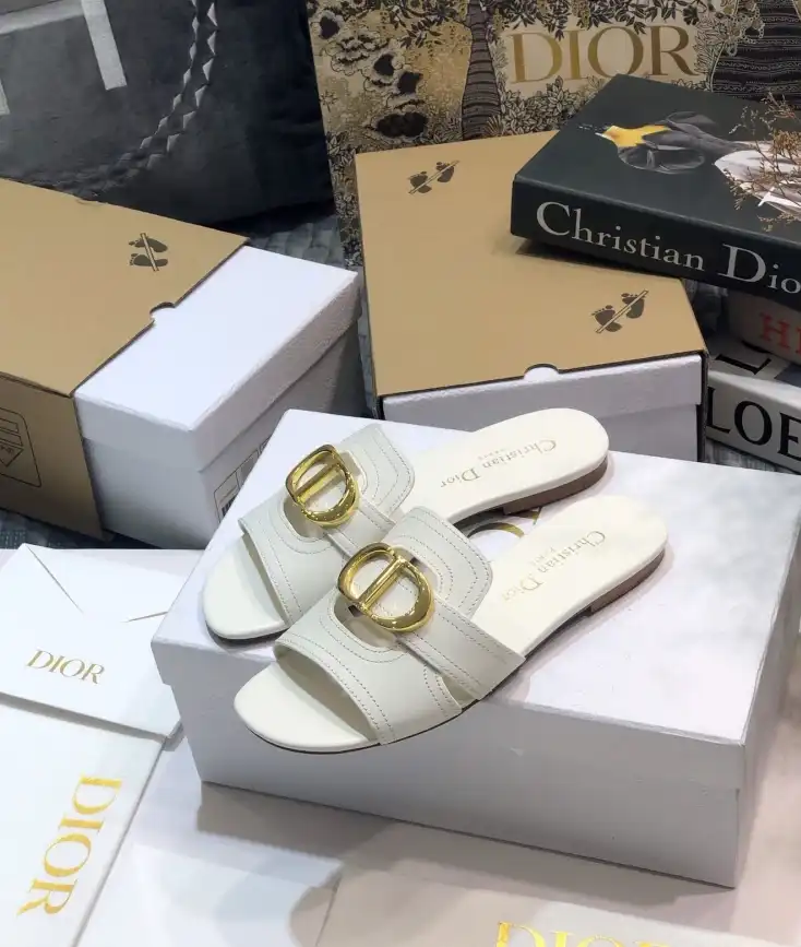 hype Christian Dior Slippers