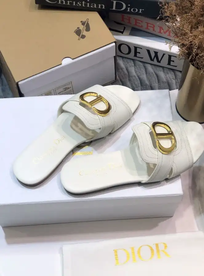 hype Christian Dior Slippers