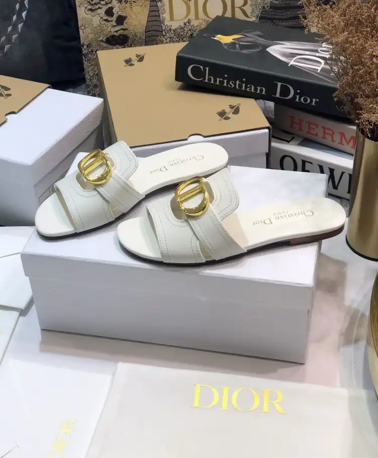 hype Christian Dior Slippers