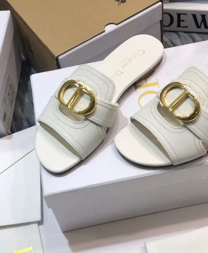 hype Christian Dior Slippers