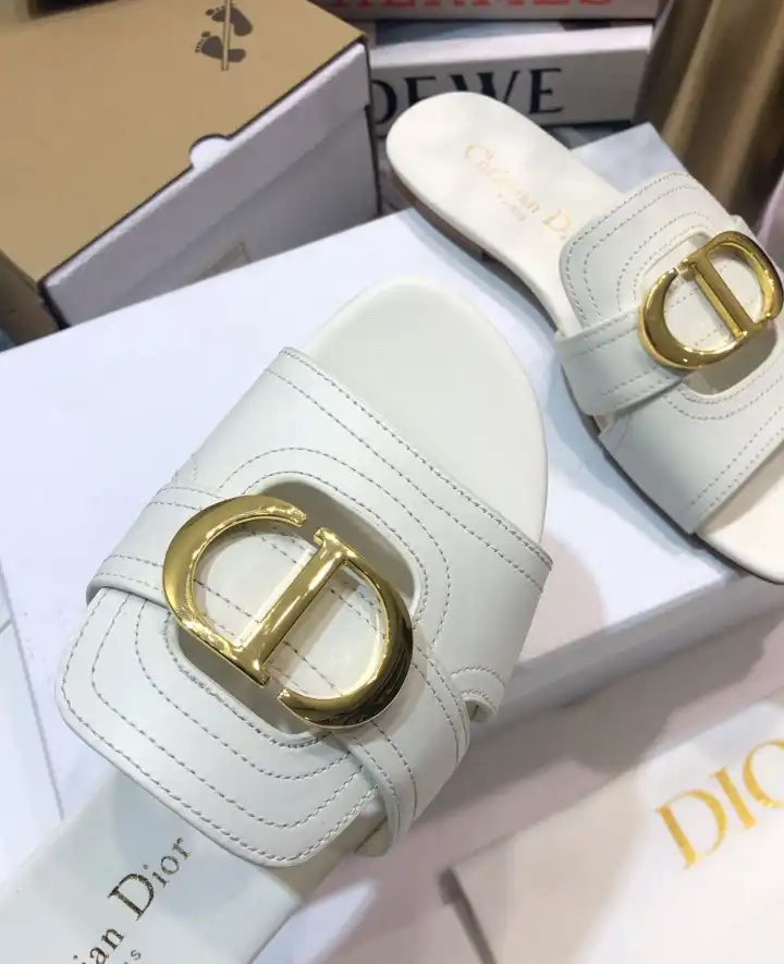 hype Christian Dior Slippers