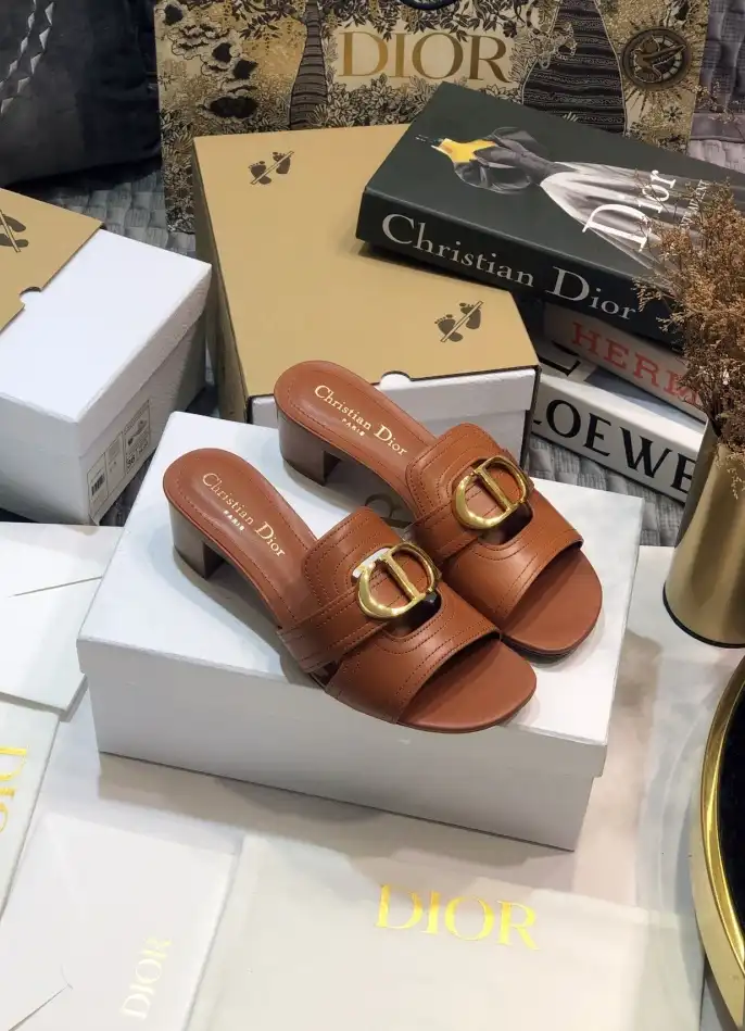 hype Christian Dior Slippers