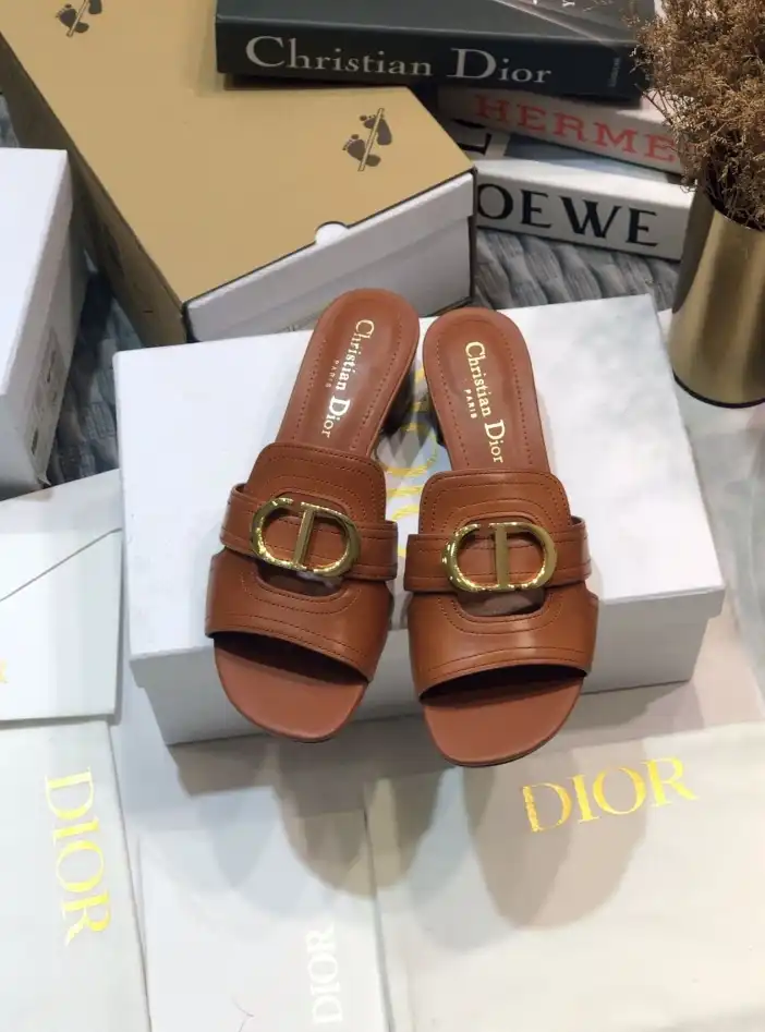 hype Christian Dior Slippers