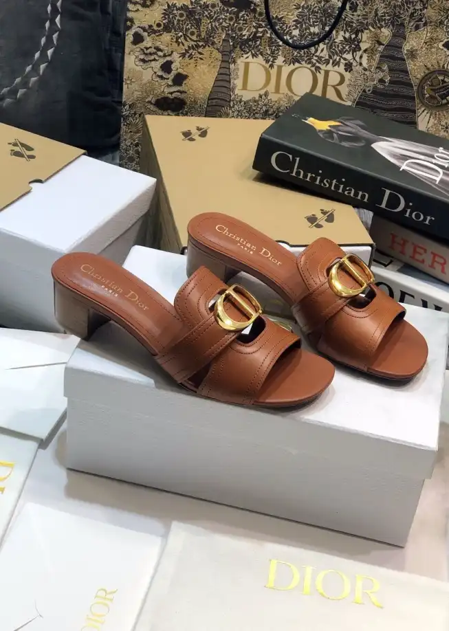 hype Christian Dior Slippers