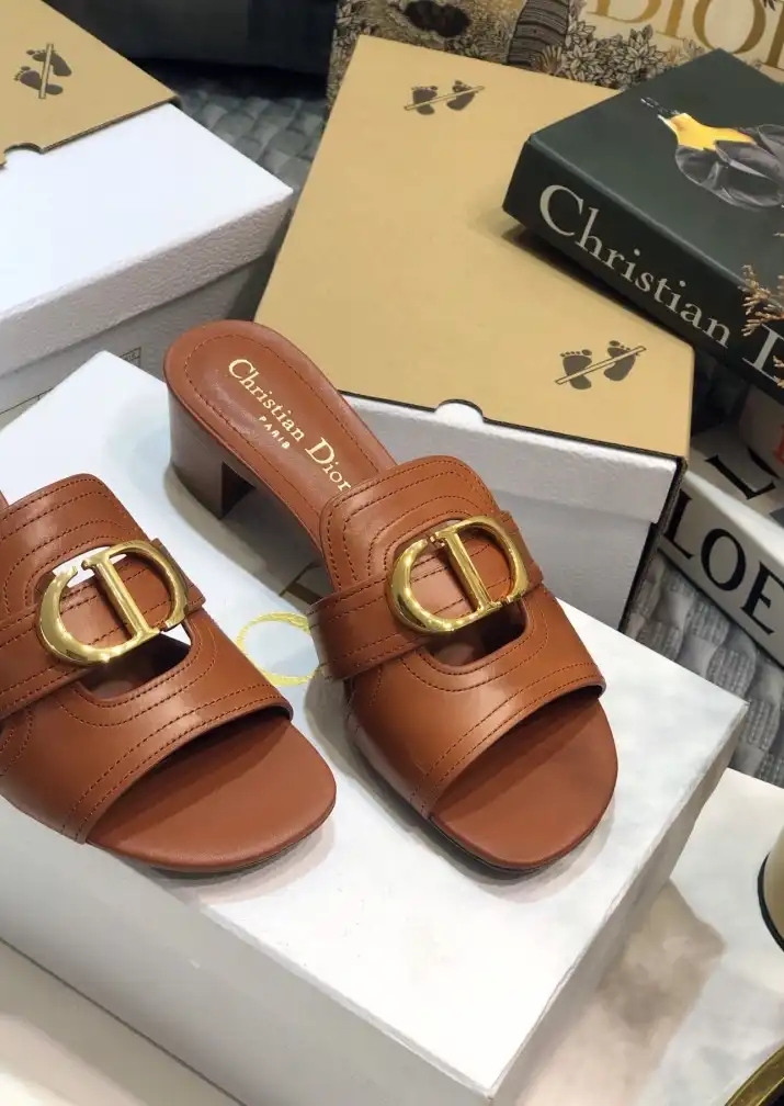 hype Christian Dior Slippers