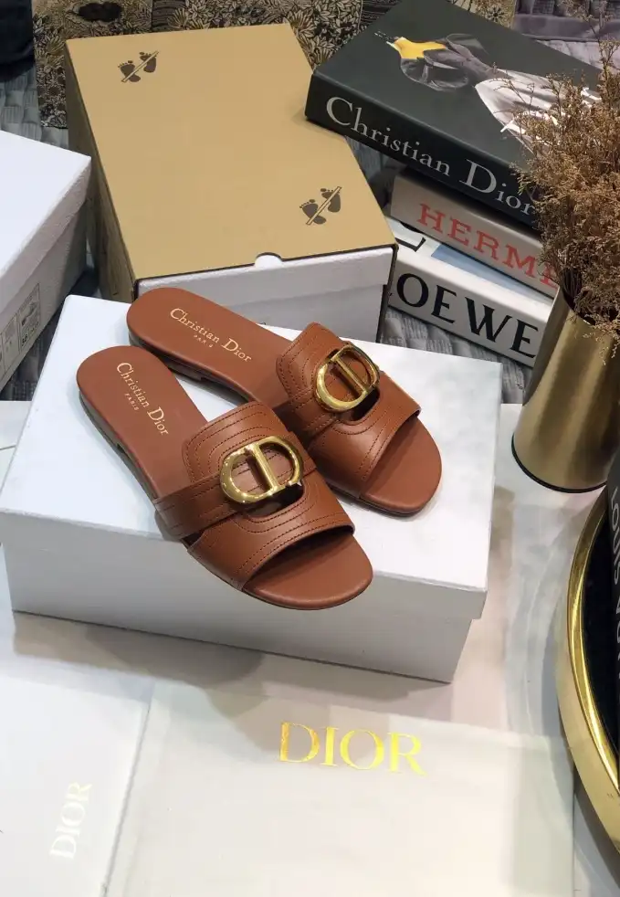 hype Christian Dior Slippers