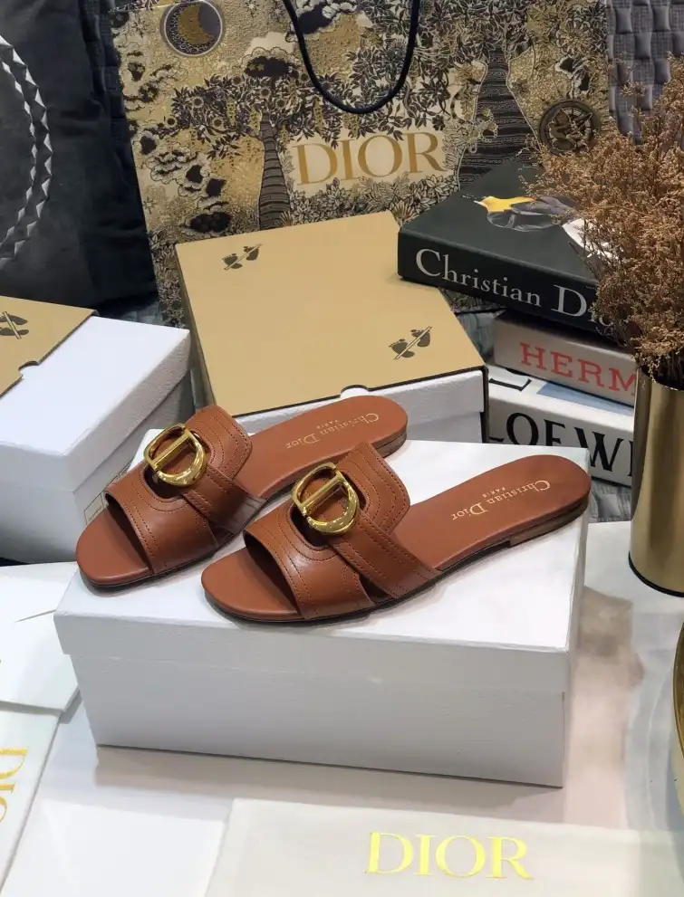 hype Christian Dior Slippers