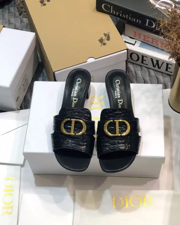 hype Christian Dior Slippers