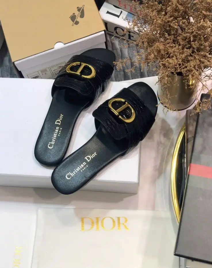 hype Christian Dior Slippers