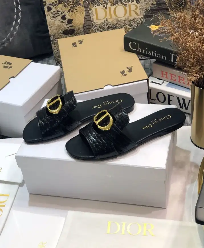 hype Christian Dior Slippers