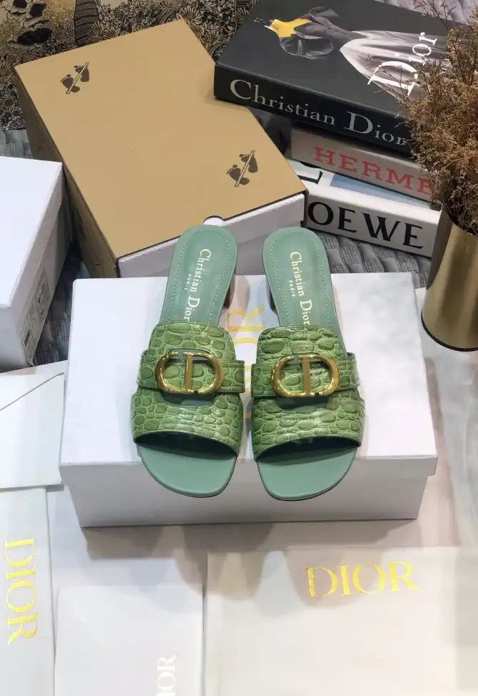 hype Christian Dior Slippers