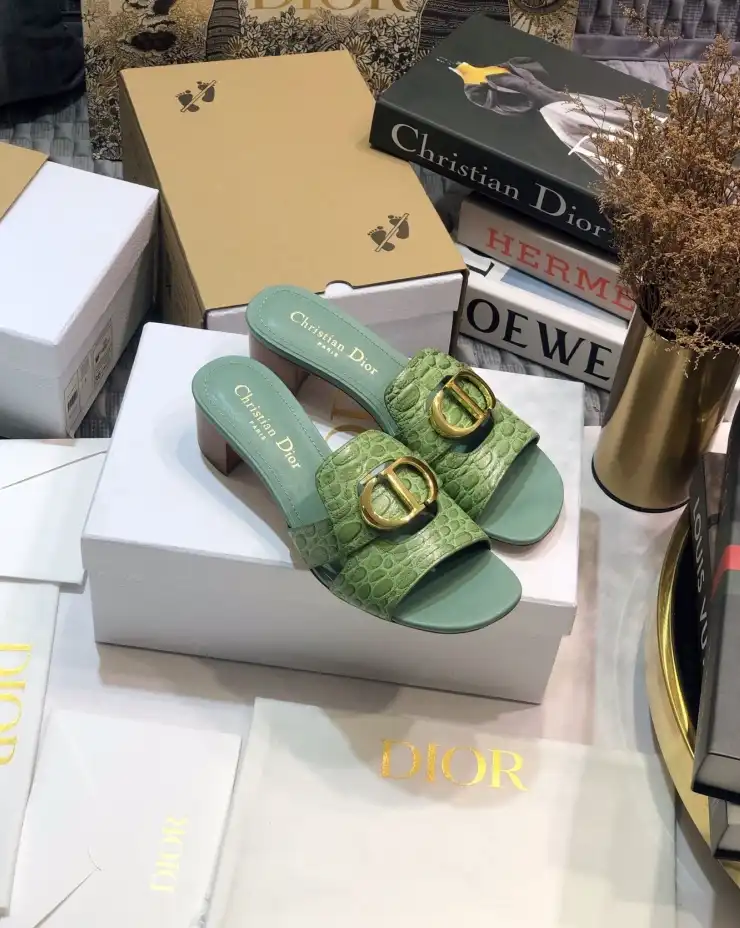 hype Christian Dior Slippers