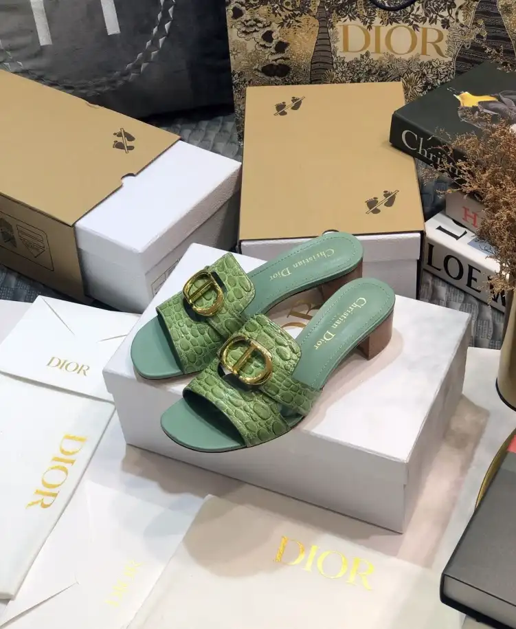 hype Christian Dior Slippers