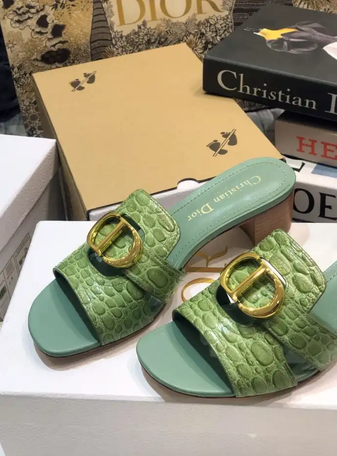 hype Christian Dior Slippers