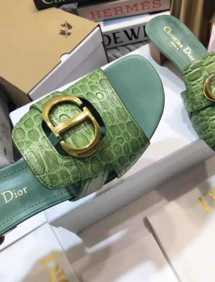 hype Christian Dior Slippers