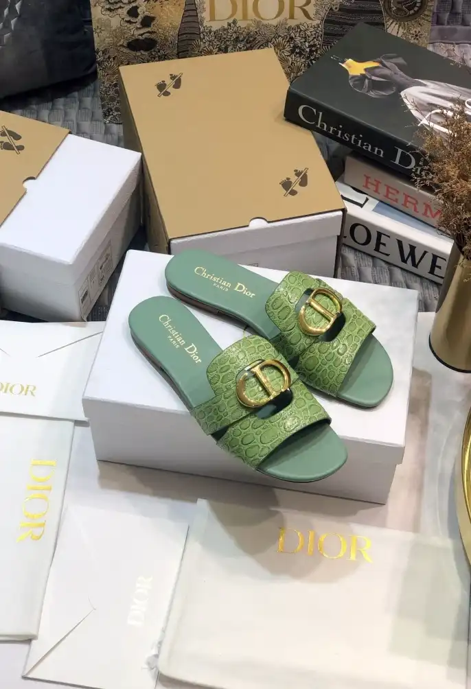 hype Christian Dior Slippers