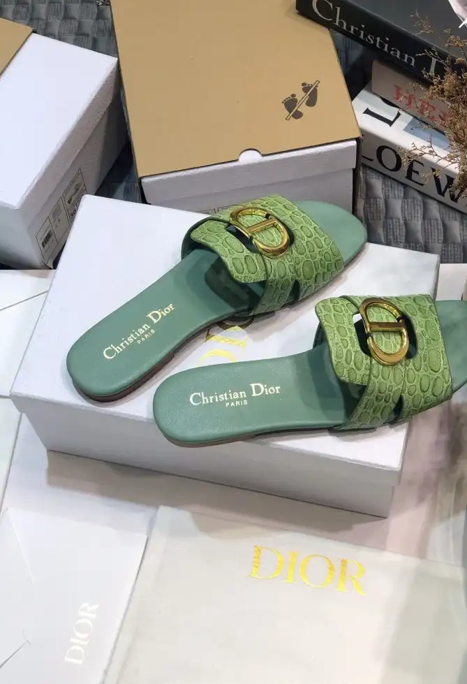 hype Christian Dior Slippers