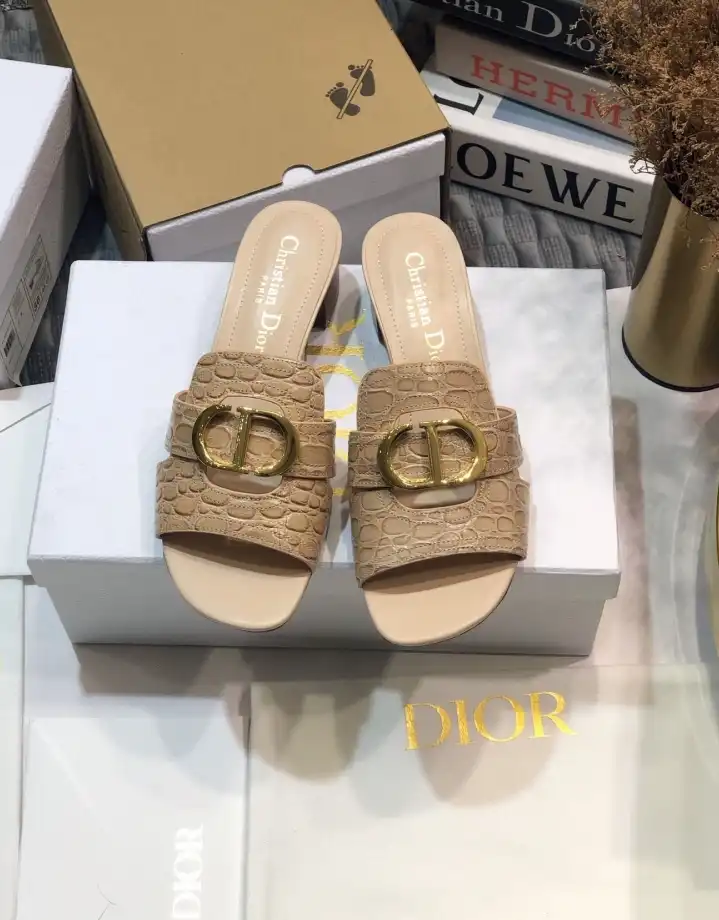 hype Christian Dior Slippers