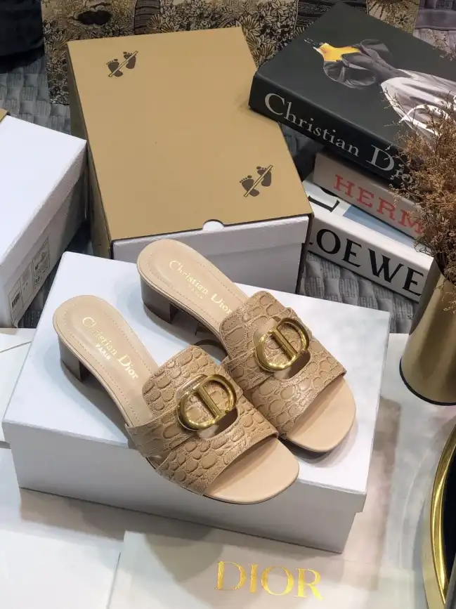 hype Christian Dior Slippers