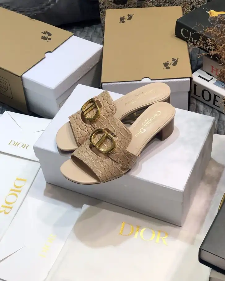 hype Christian Dior Slippers