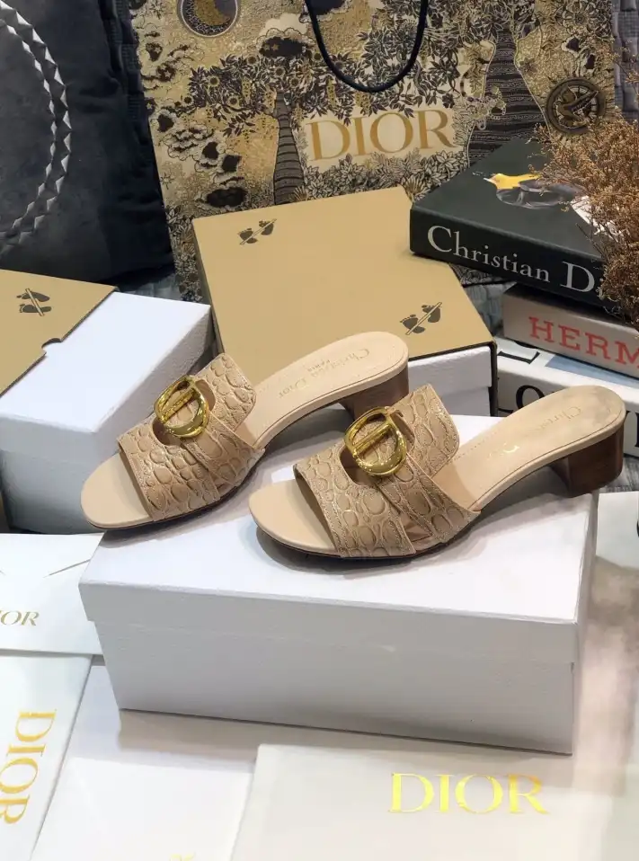 hype Christian Dior Slippers