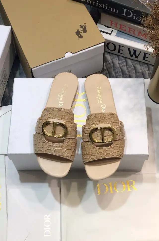 hype Christian Dior Slippers