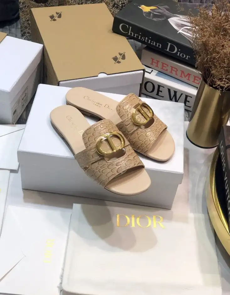 hype Christian Dior Slippers