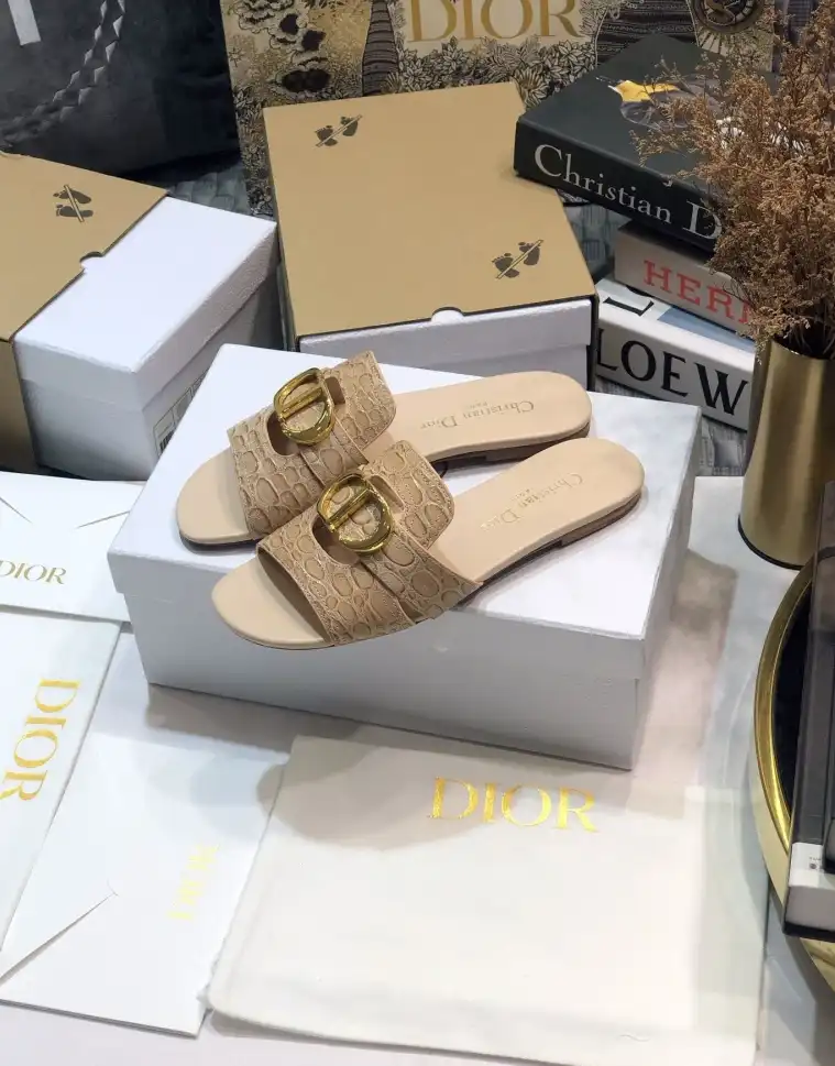 hype Christian Dior Slippers