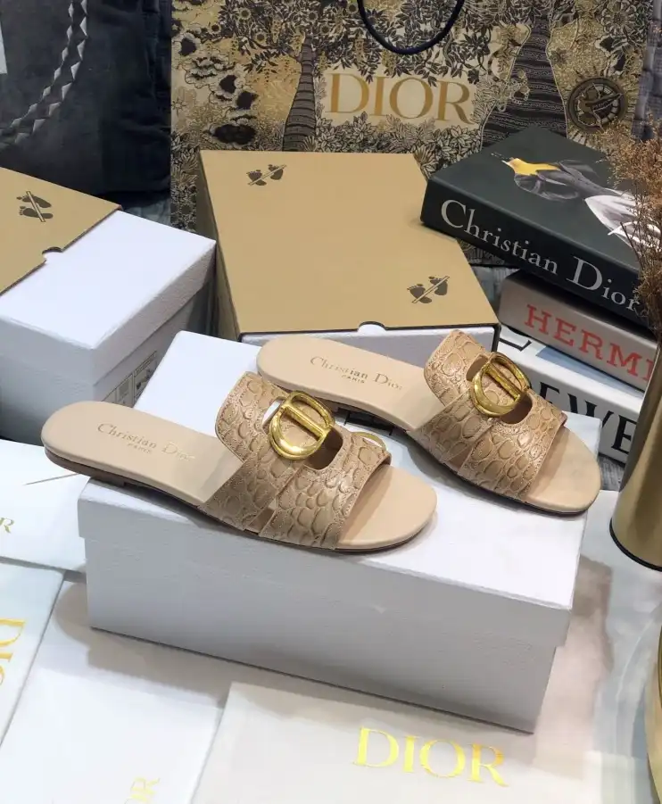 hype Christian Dior Slippers