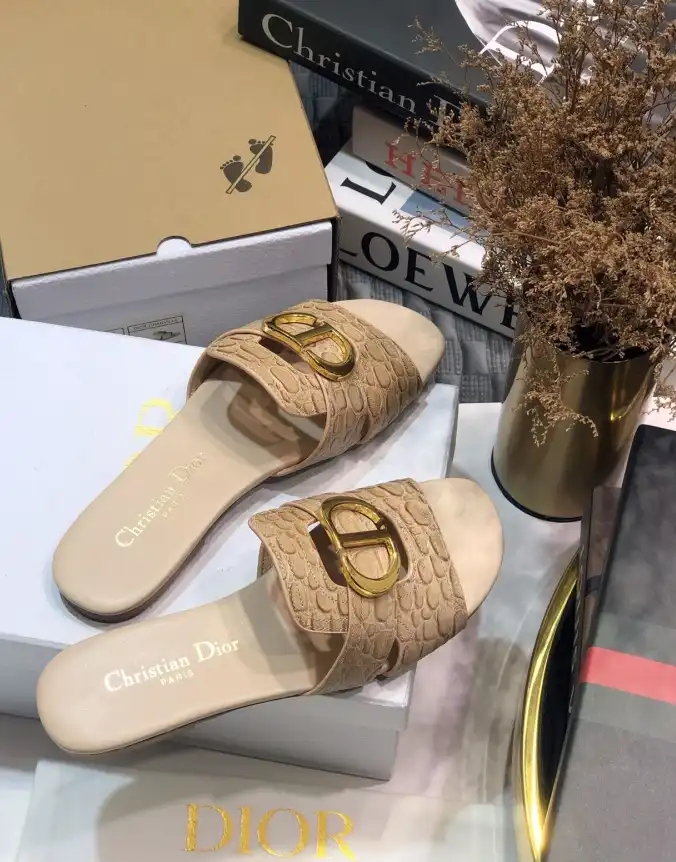 hype Christian Dior Slippers