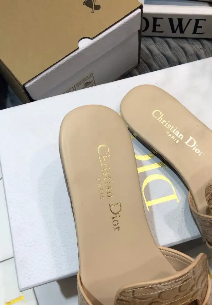 hype Christian Dior Slippers