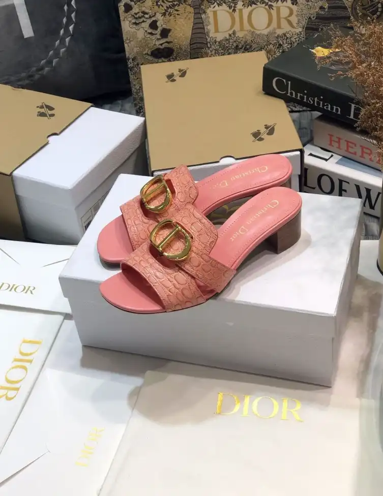 hype Christian Dior Slippers