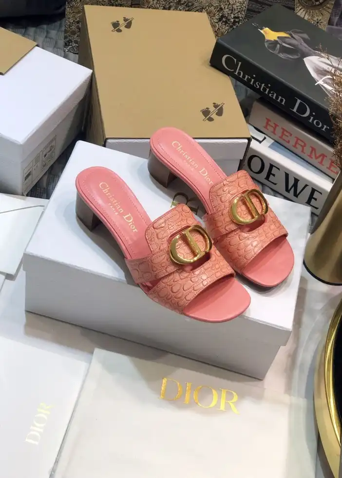 hype Christian Dior Slippers