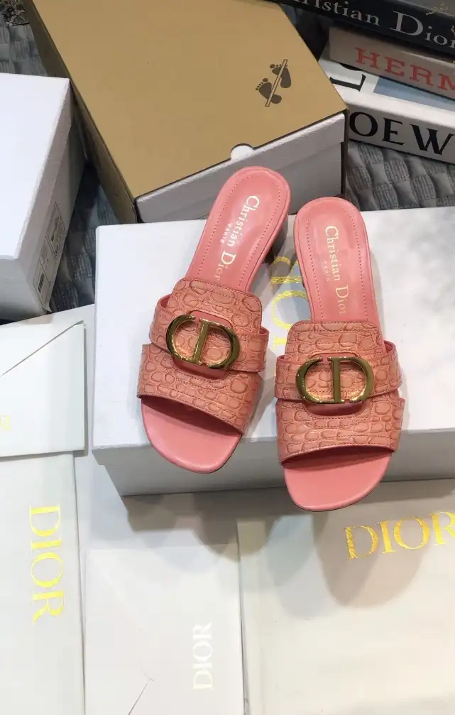 hype Christian Dior Slippers