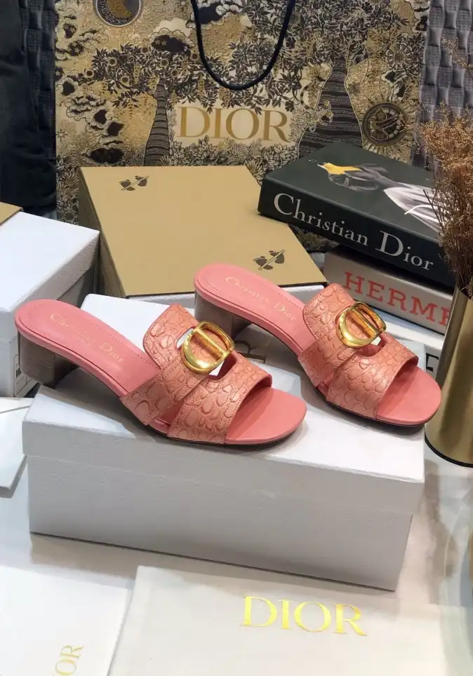 hype Christian Dior Slippers