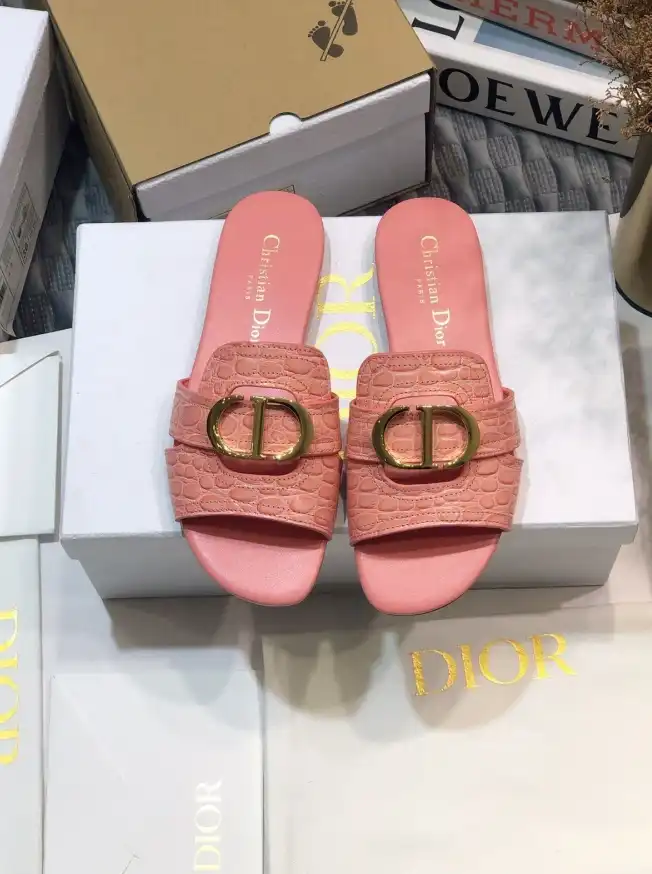 hype Christian Dior Slippers