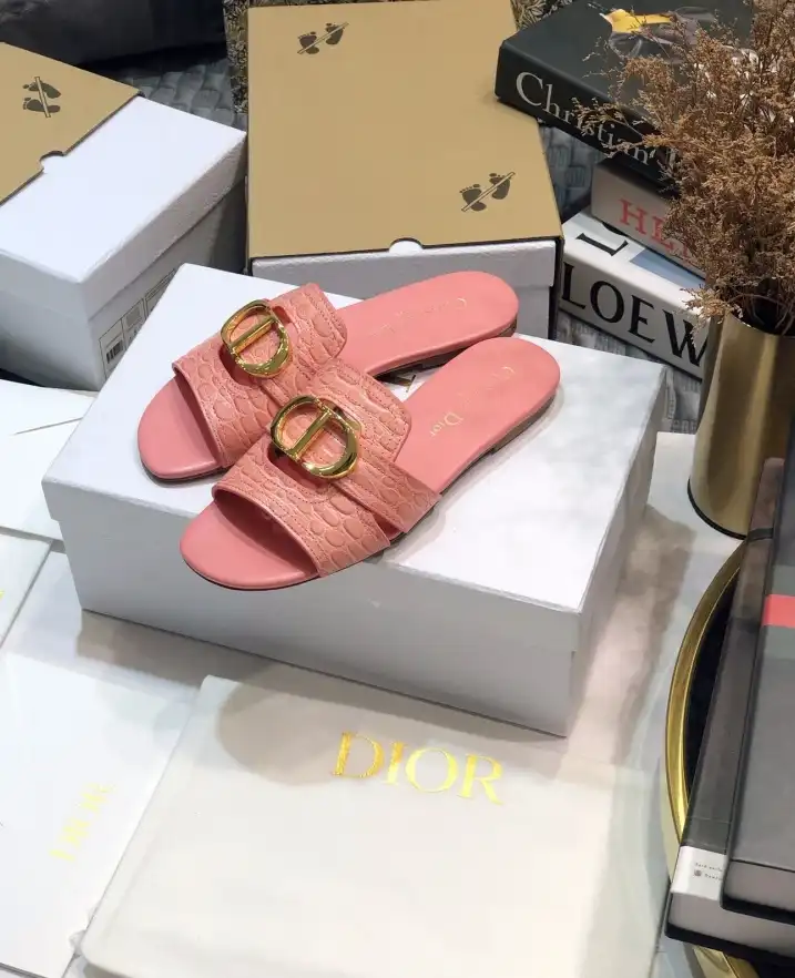 hype Christian Dior Slippers