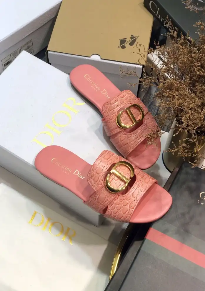 hype Christian Dior Slippers