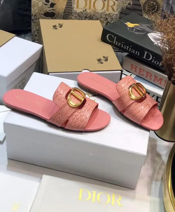 hype Christian Dior Slippers