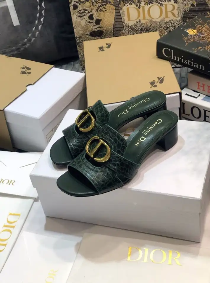 hype Christian Dior Slippers