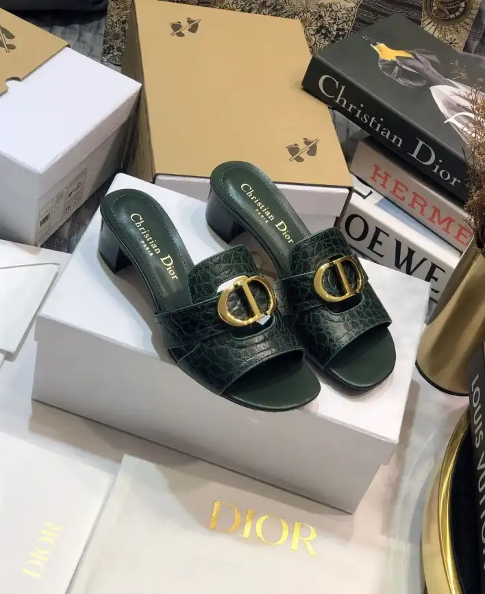 hype Christian Dior Slippers