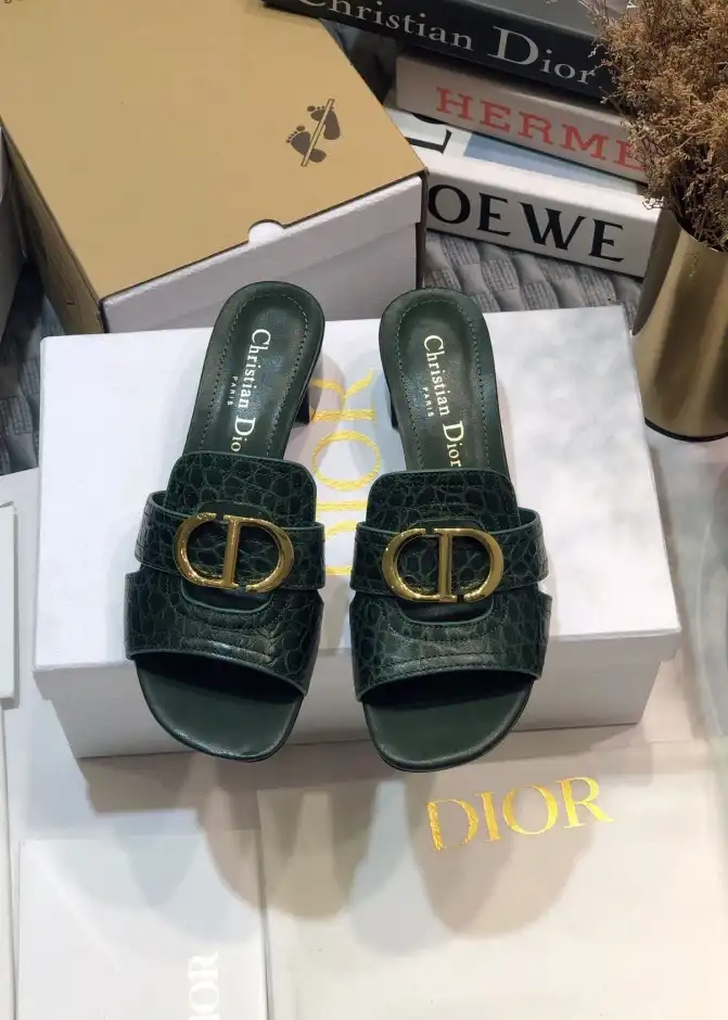 hype Christian Dior Slippers