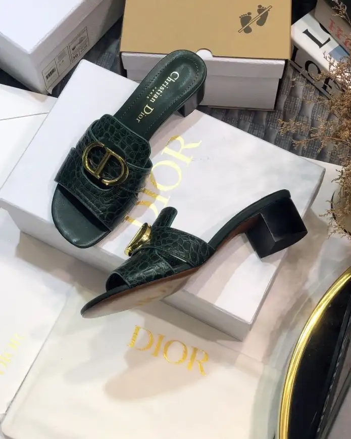 hype Christian Dior Slippers