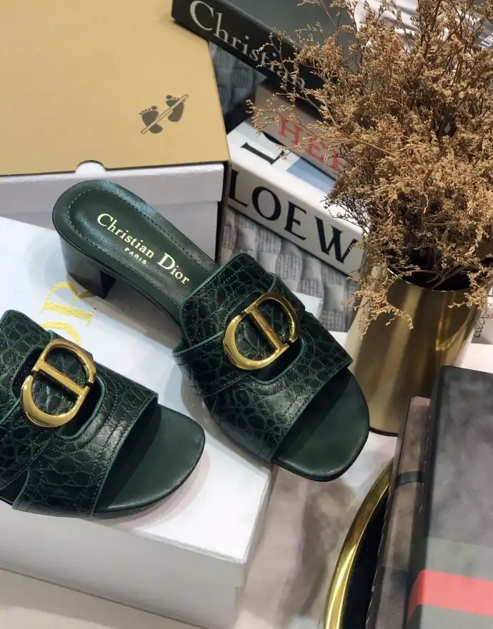 hype Christian Dior Slippers