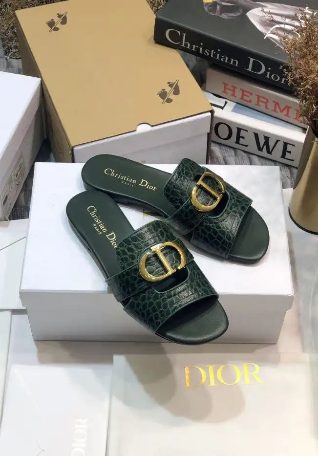 hype Christian Dior Slippers