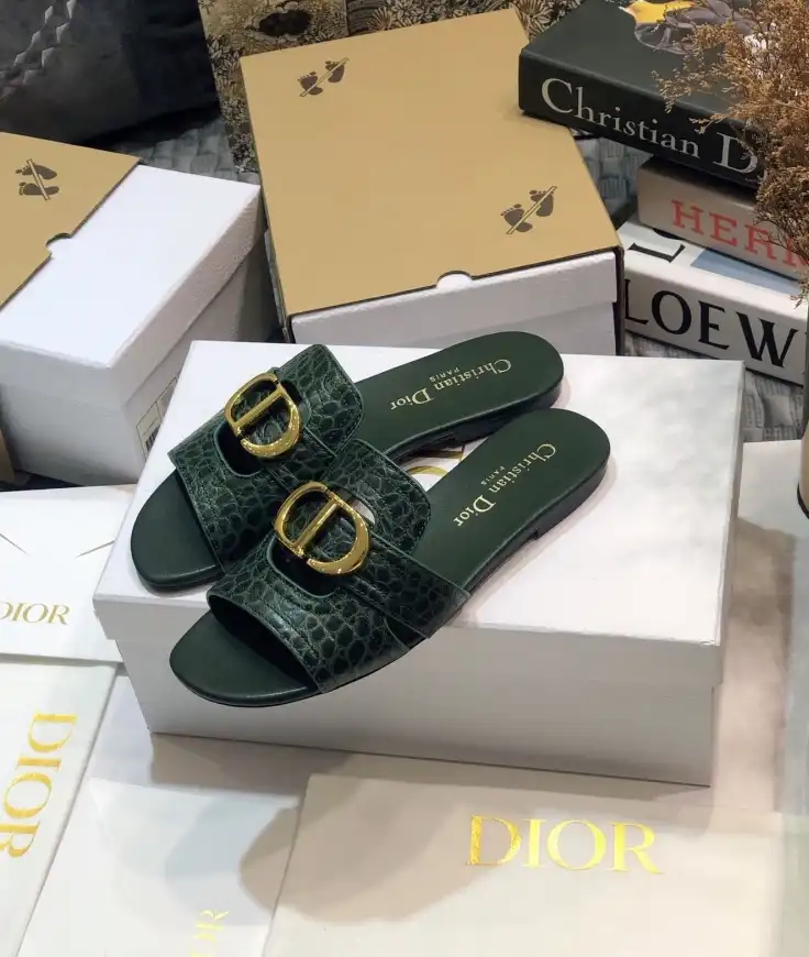 hype Christian Dior Slippers