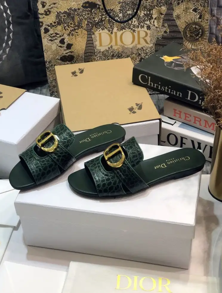 hype Christian Dior Slippers