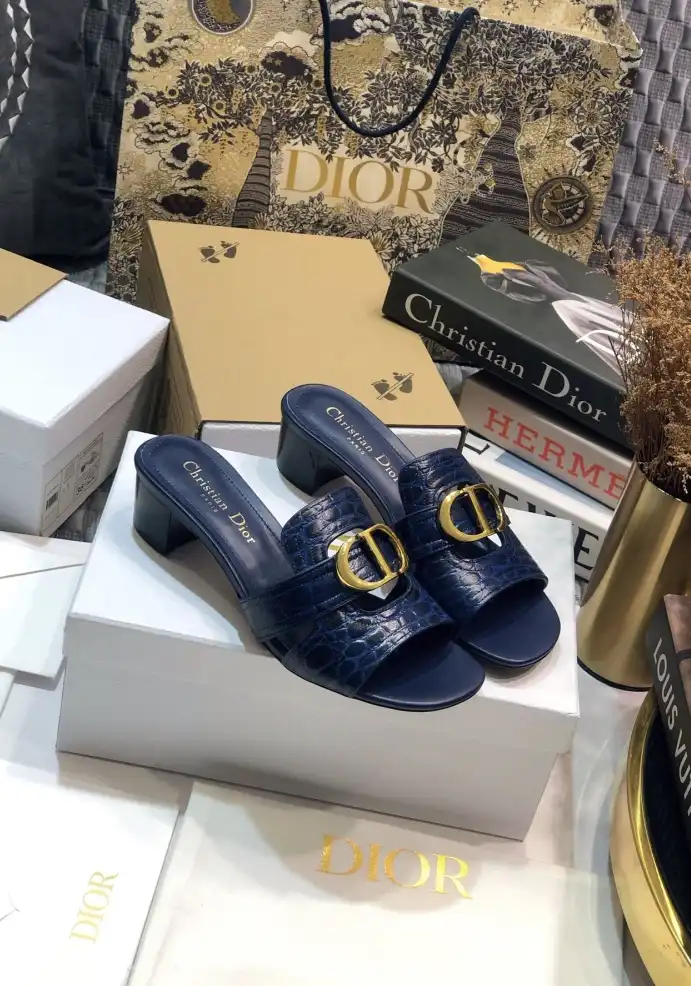 hype Christian Dior Slippers