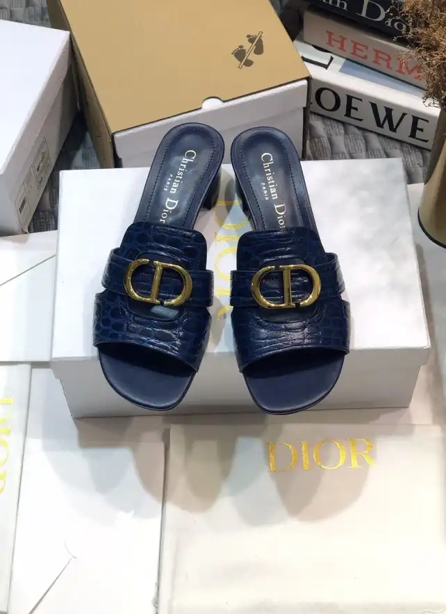 hype Christian Dior Slippers