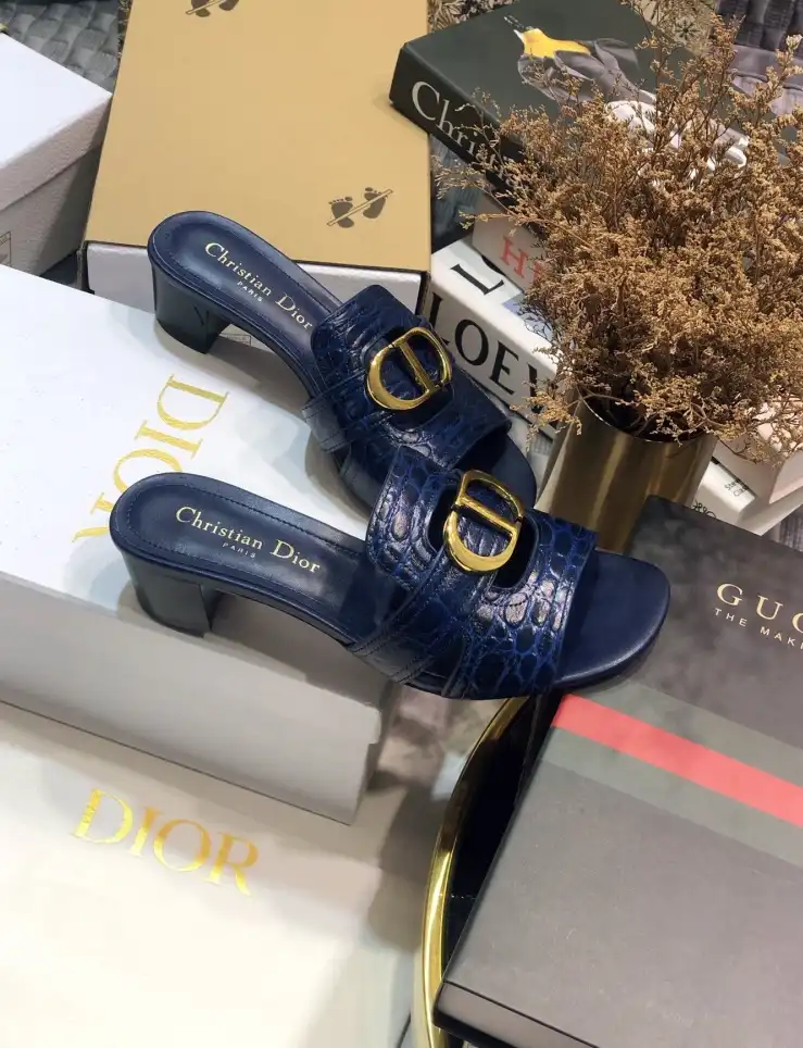 hype Christian Dior Slippers